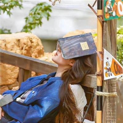 青春谎言之旅